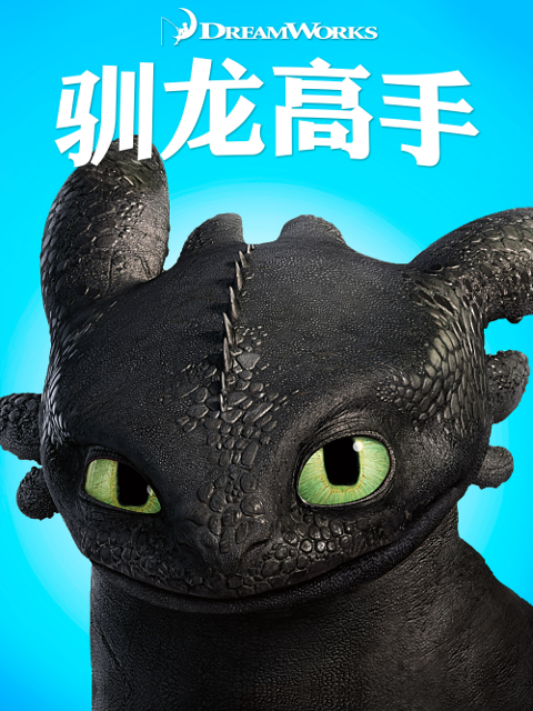 驯龙高手