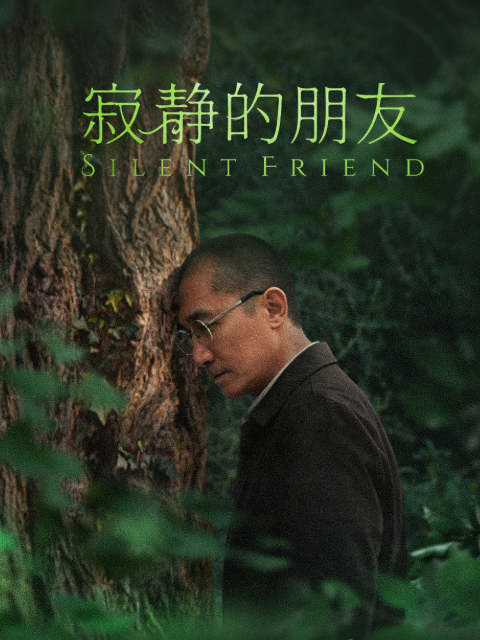 寂静的朋友