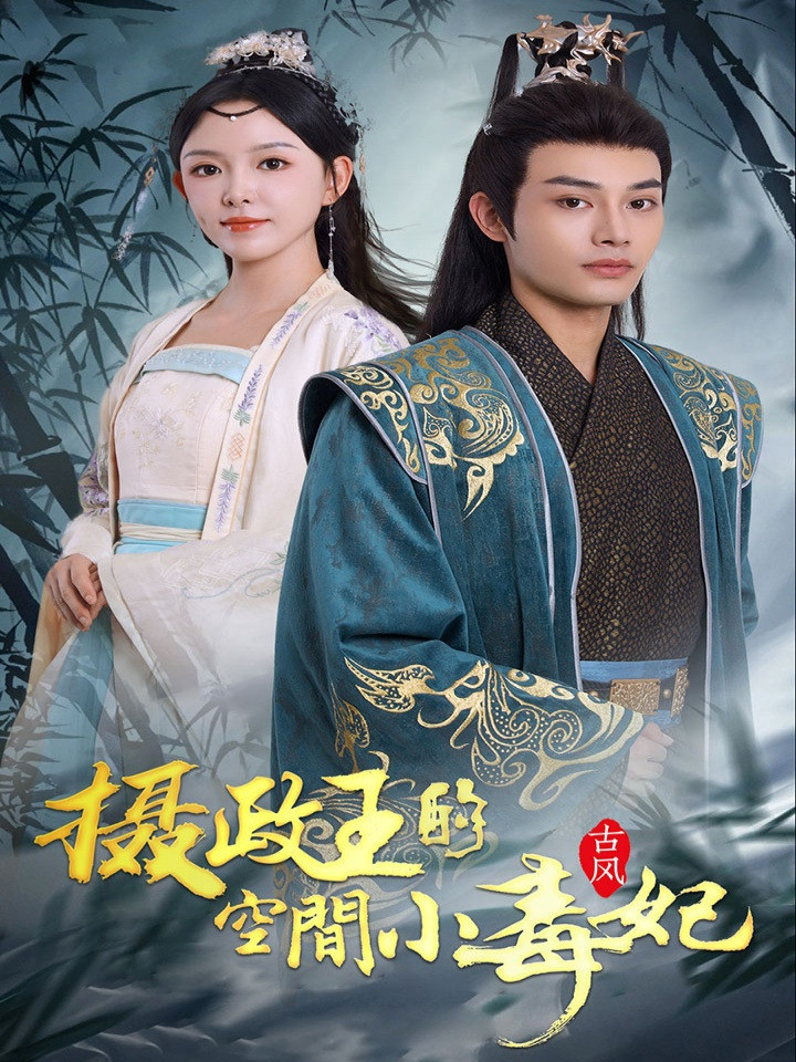 摄政王的空间小毒妃