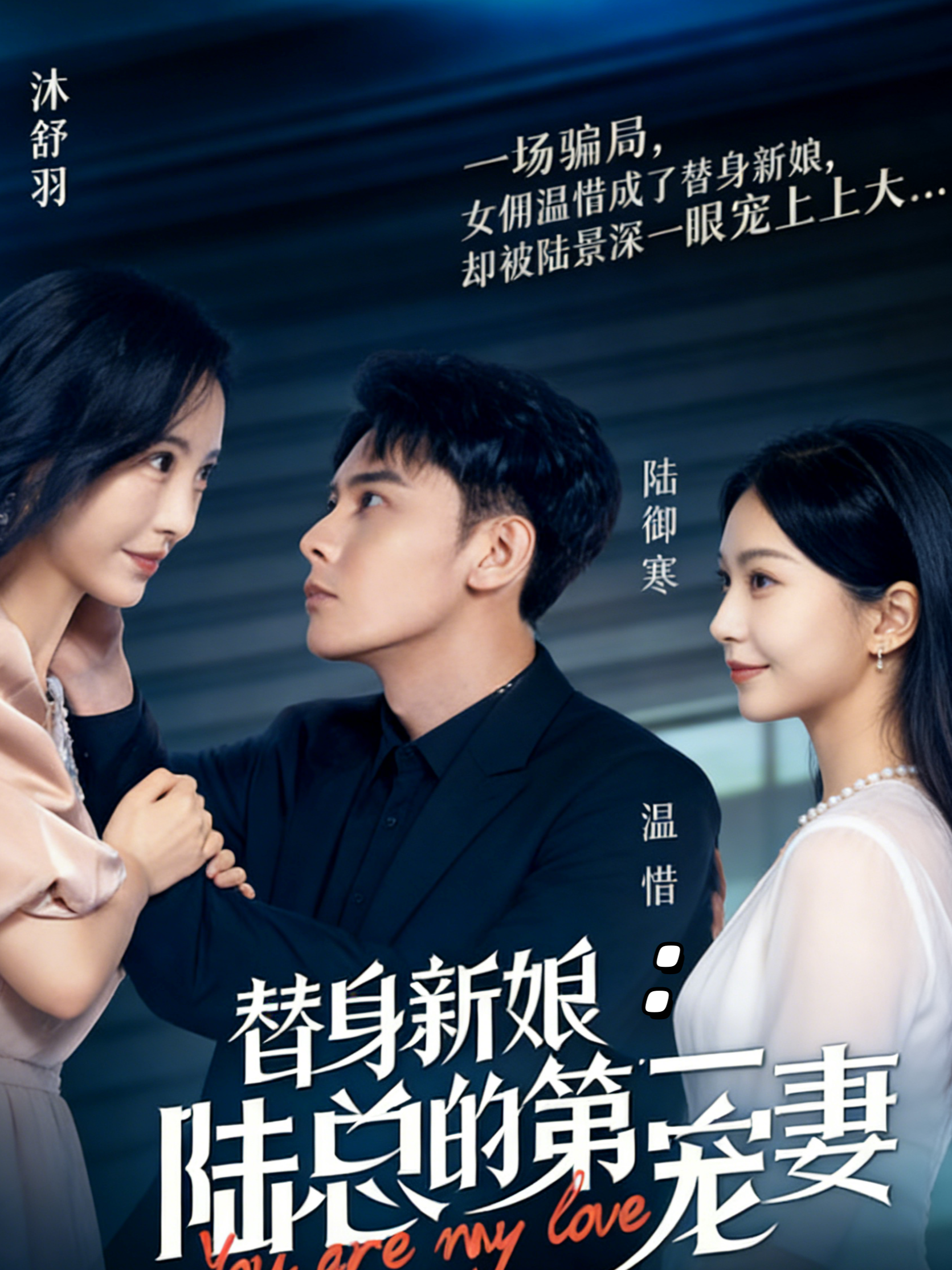 替身新娘：陆总的第一宠妻