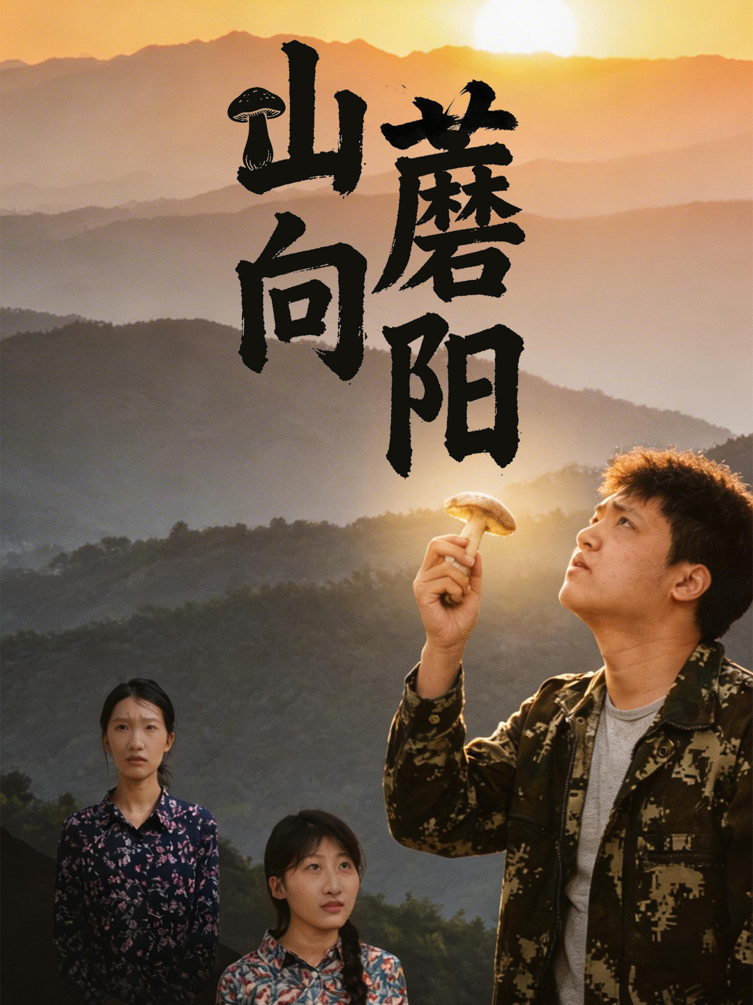 山蘑向阳