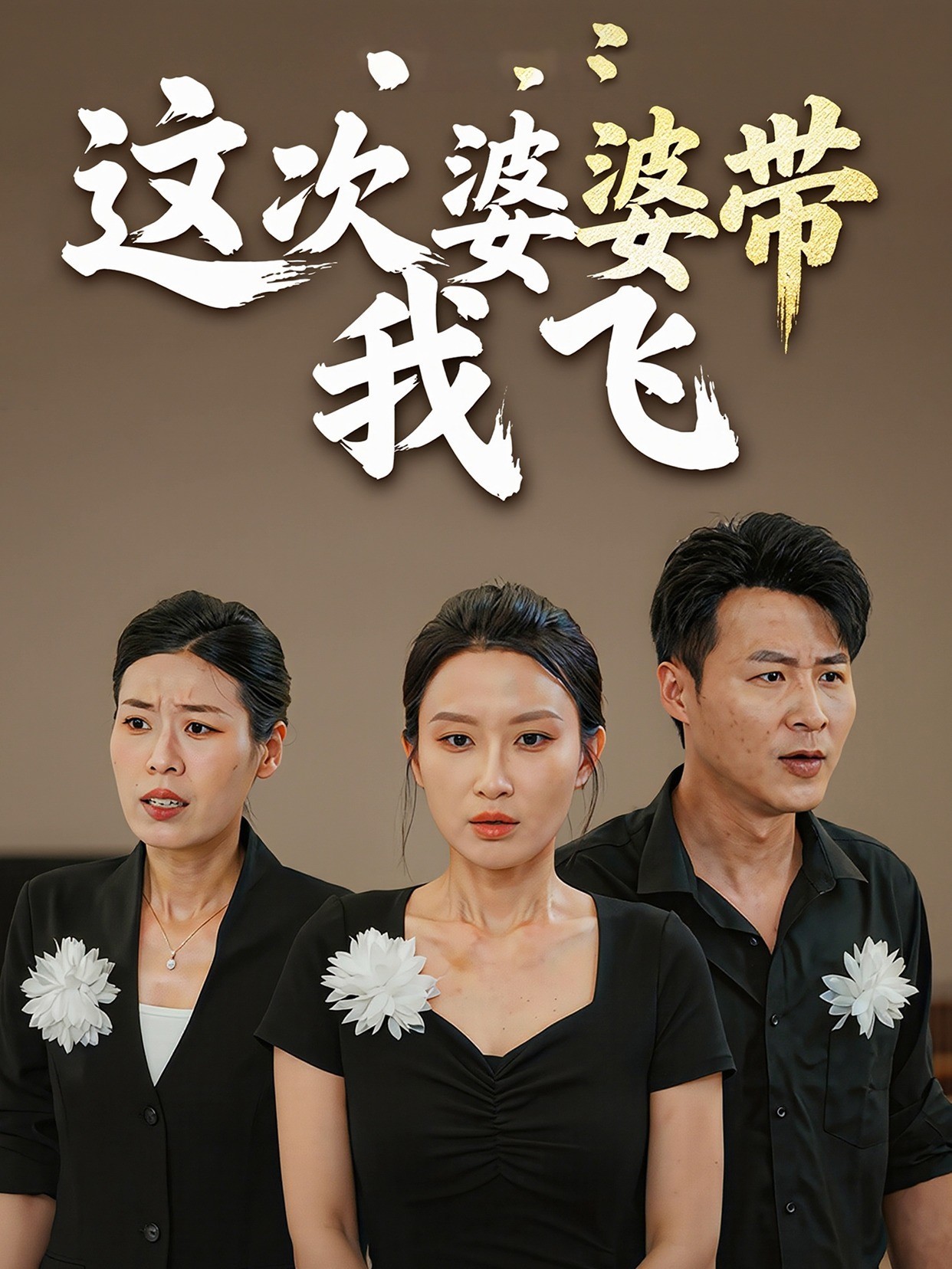 这次婆婆带我飞