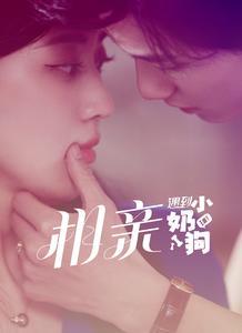 相亲遇到小奶狗