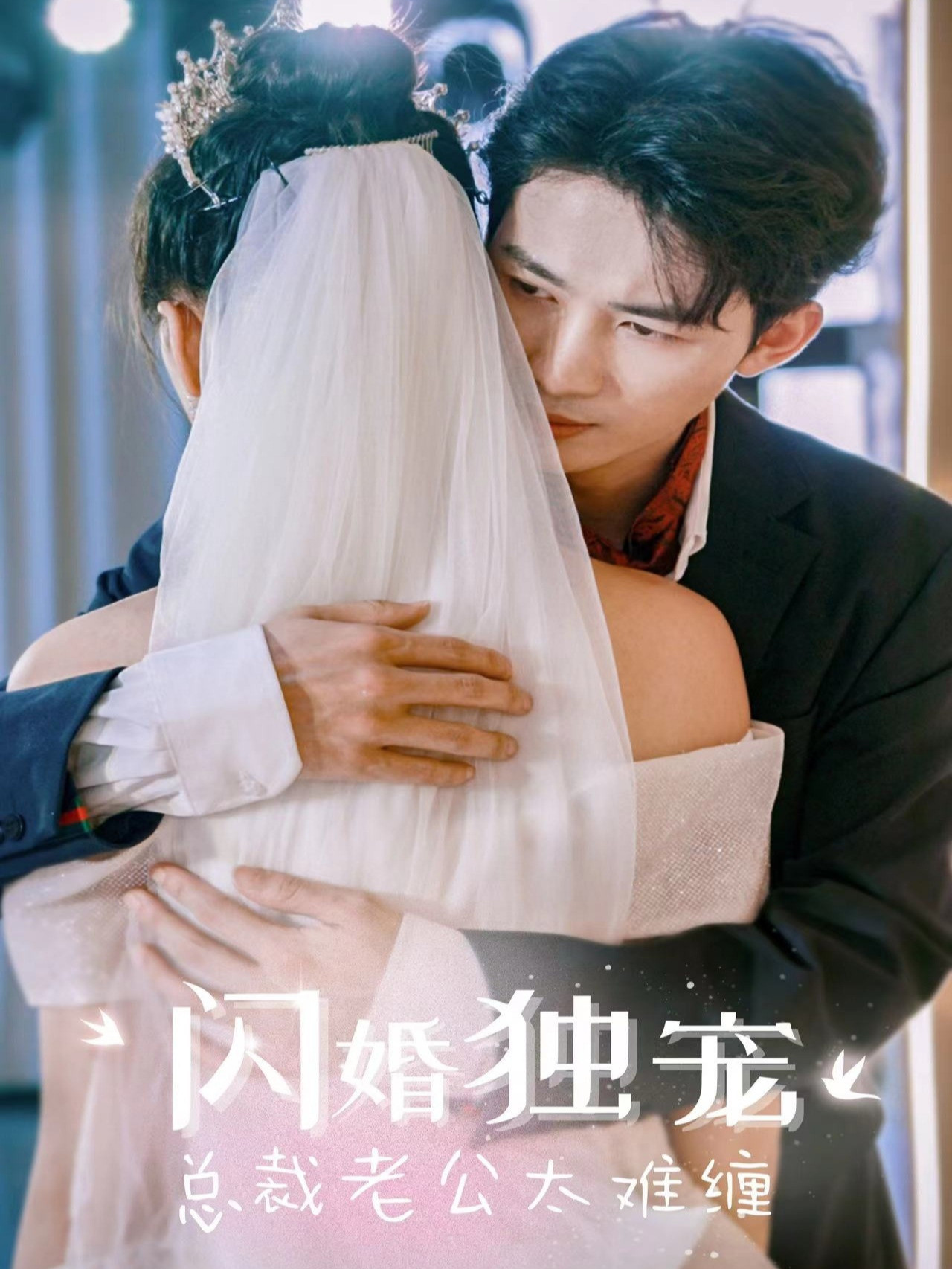 闪婚独宠，总裁老公太难缠