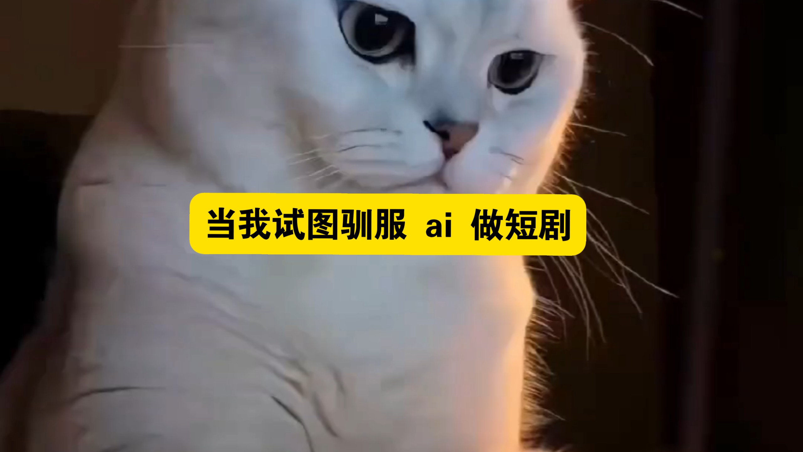 当我试图驯服 ai 做短剧 部分灵感#橘猫日常＃ #ai猫咪剧情 #萌宠出道计划 #猫咪 #萌宠搞笑#橘猫 #情感 ＃快成长计划