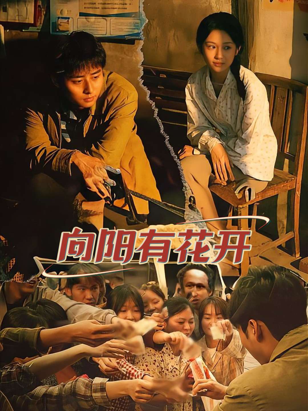 向阳有花开