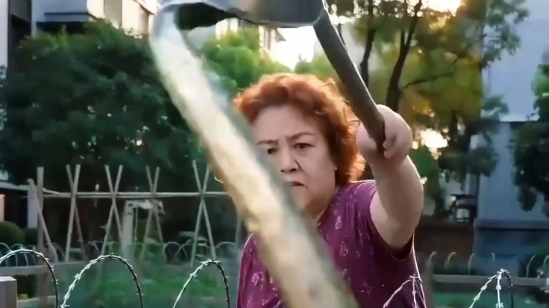 楼下大妈把公共菜地当成自家菜园？我跟她硬刚 影视短片