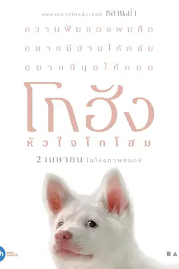 心犬相随 โกฮัง..หัวใจโกโฮม (2026)