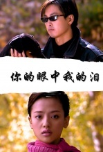 你的眼中我的泪