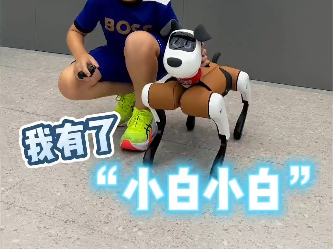 今天来给大家揭晓我的新宠物：BabyAlpha系列蔚蓝机器狗！