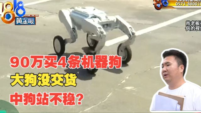 【1818黄金眼】老板打算花90万买4条机器狗不满表现， “二次开发”是焦点？