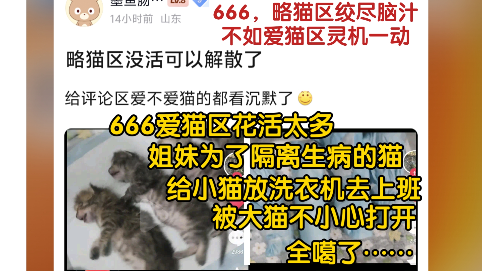 666，姐妹把四只小猫放洗衣机去上班，被在外面的大猫不小心打开！全噶了！爱猫区这一块逆天了！