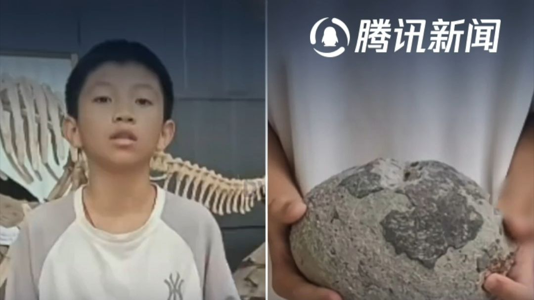 广东“小孩哥”在户外玩耍时，捡到6500万年前恐龙蛋
