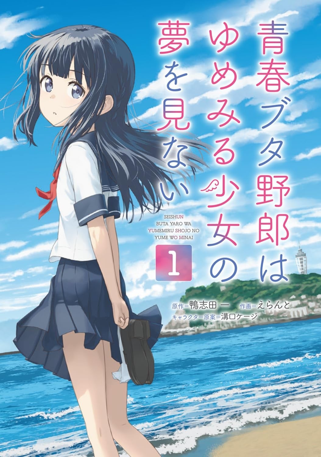 青春猪头少年不会梦到怀梦美少女