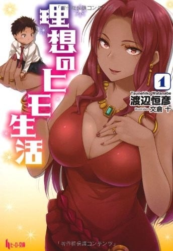 理想的小白脸生活