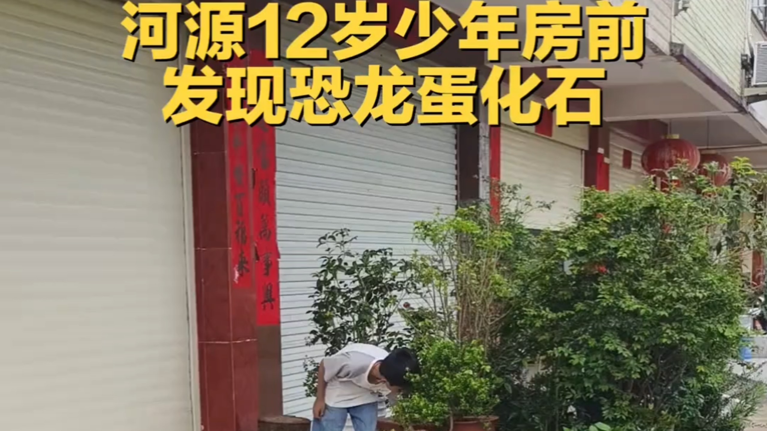 12岁小孩在花盆里捡到恐龙蛋
