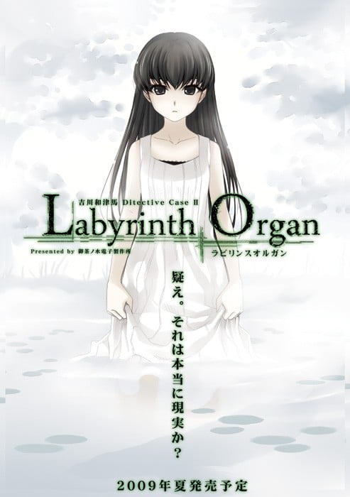 Labyrinth Organ