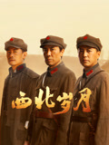 西北岁月