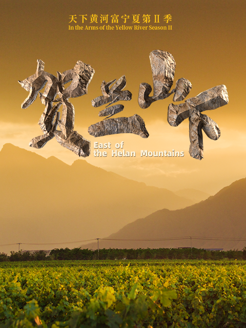 天下黄河富宁夏 第二季