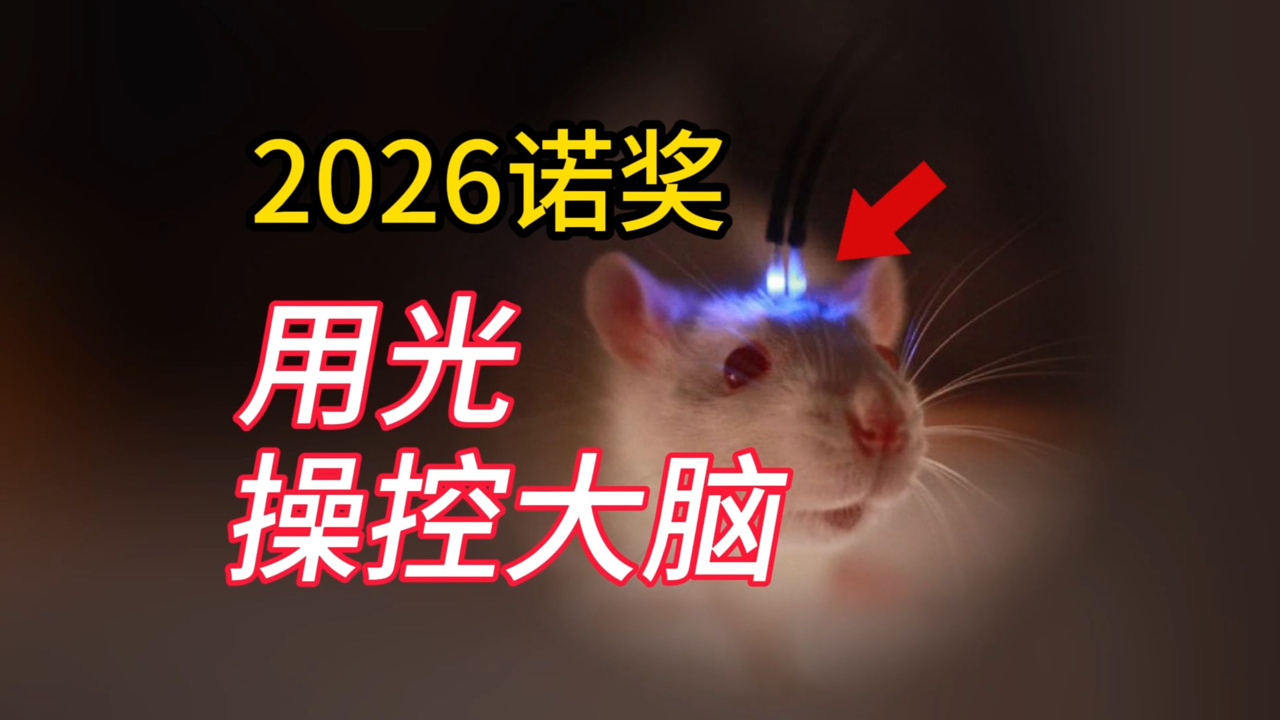 2026生理诺奖：人类科技可以控制大脑了？！