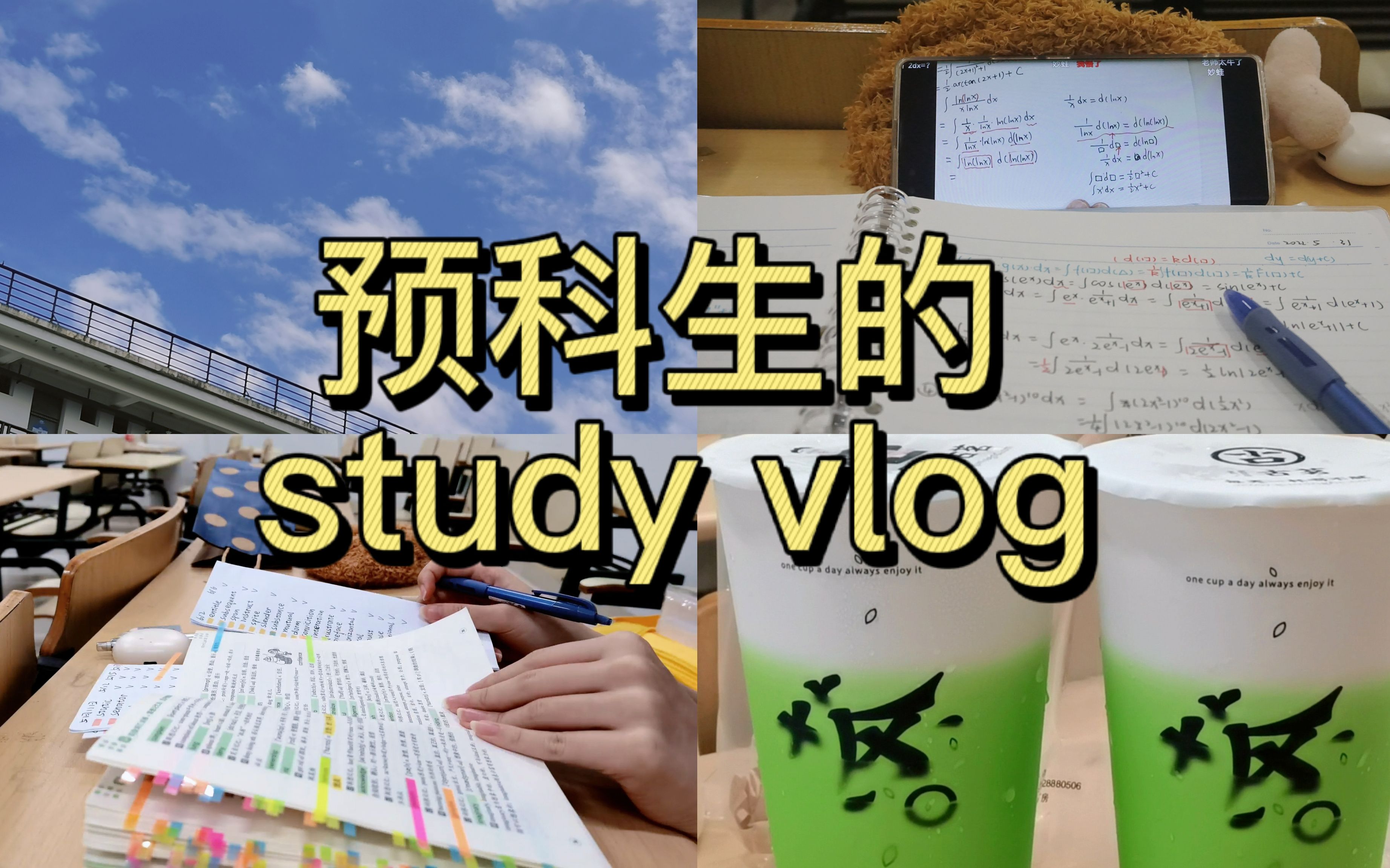 预科生学习vlog