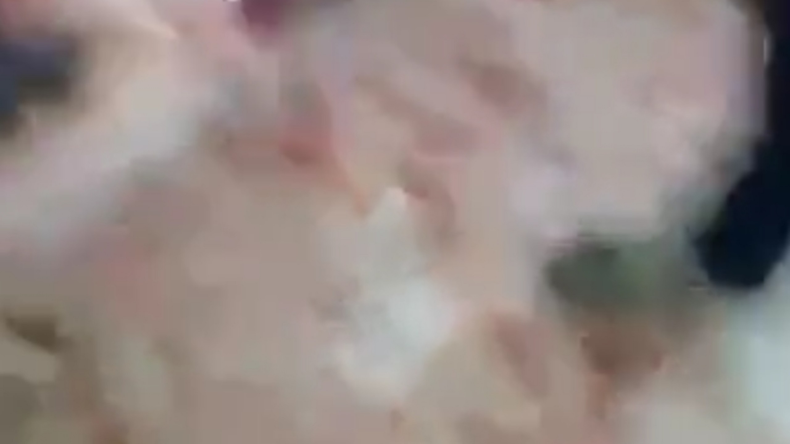 墨西哥刀具原视频