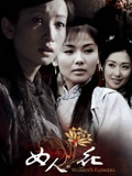 女人花 (2012年电视剧)