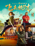 飞来横财（2024）
