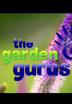 The Garden Gurus