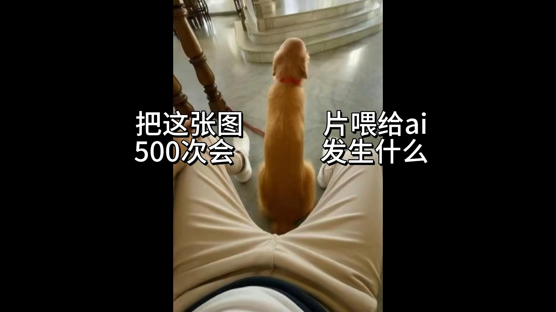 把这张图片喂给ai500次会发生什么(23)