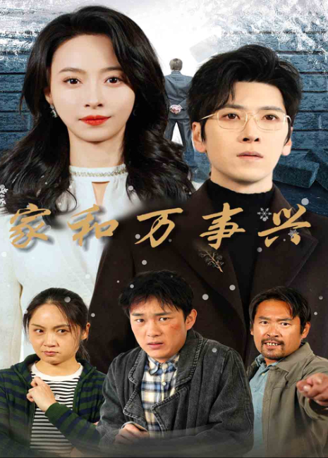 家和万事兴 (2014年电视剧)