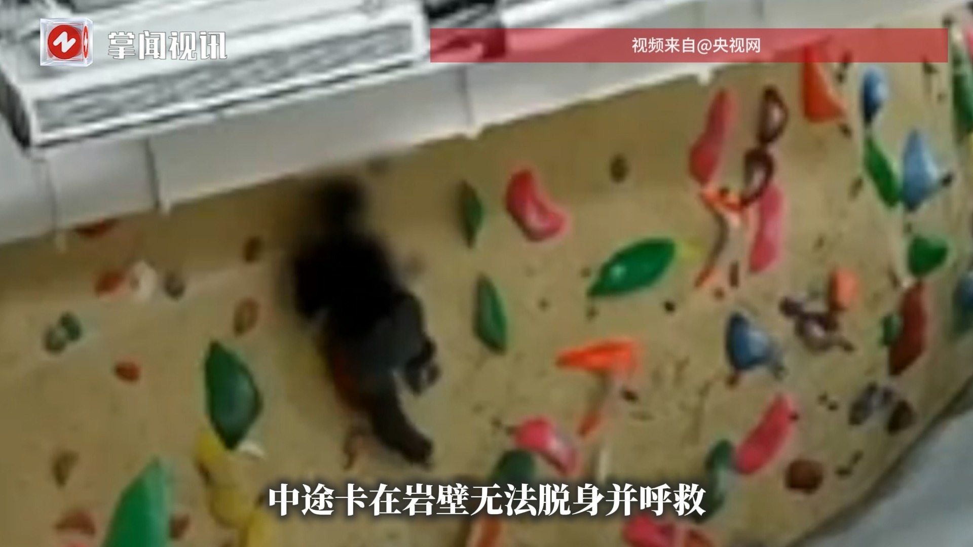 女子攀岩摔成八级伤残，场馆工作人员曾说掉下来死不了，法院判赔36万