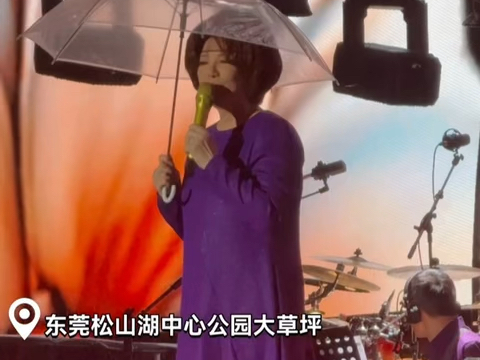5月3日，蔡琴在音乐节上宣布将于明年告别歌坛，5日，她发博回应此事，称没想到年轻人竟然淋着雨听她唱完歌，“难得相见，很是感动”，于是宣布