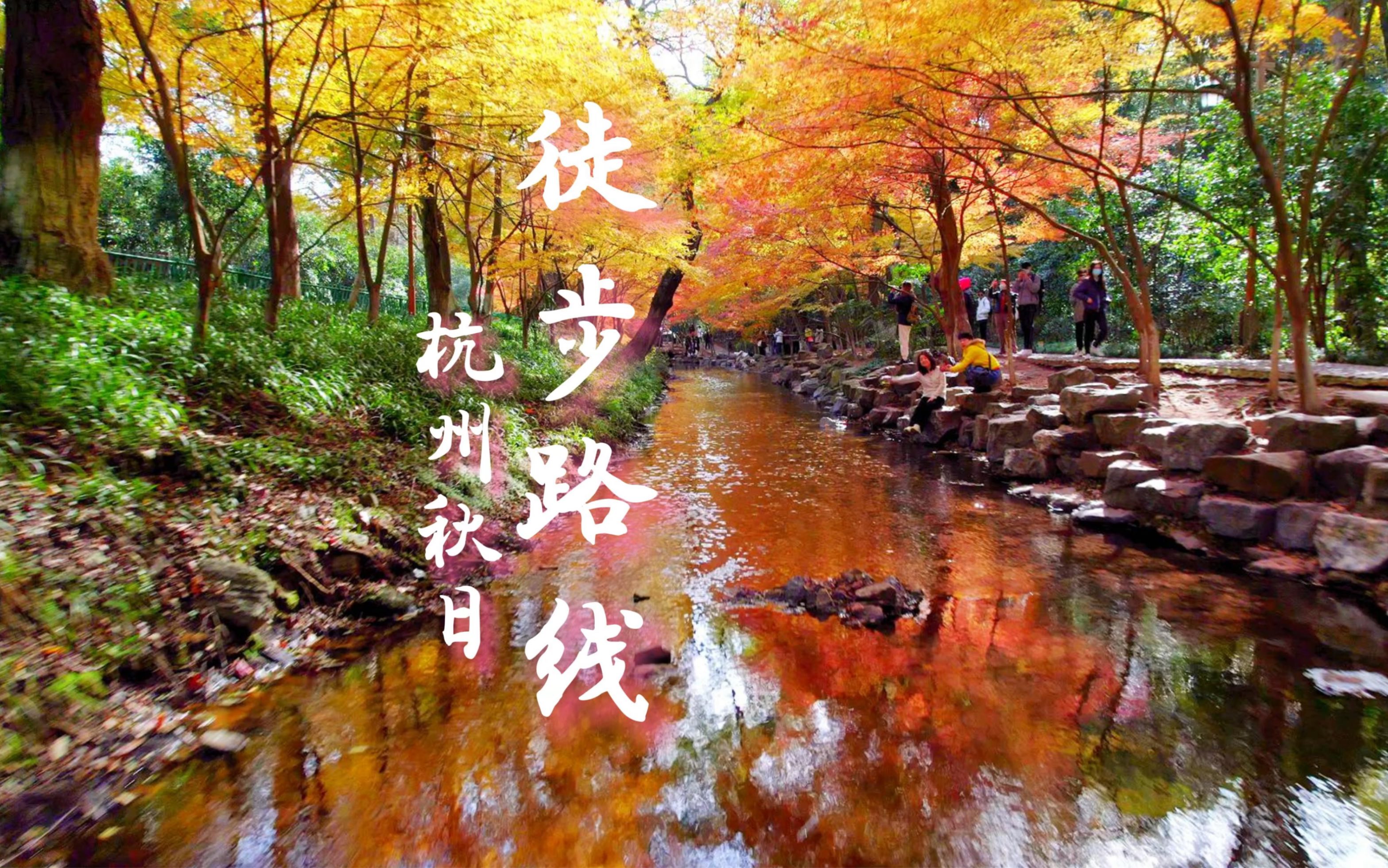 杭州本地人不会告诉你的宝藏赏秋路线！桂花枫叶银杏雨，竹林茶山柿子树，这个秋天约上ta一起去cityealk吧！