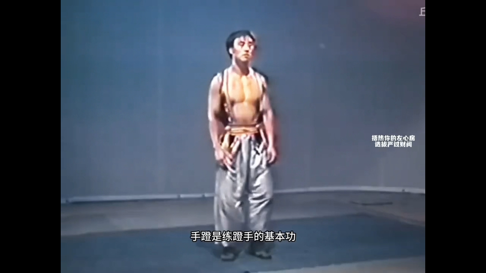 那些说闪身步是花拳绣腿的朋友，这一套阁下如何评价？