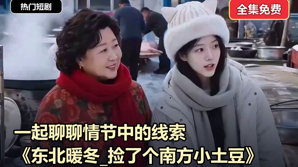 一起聊聊情节中的线索｜《东北暖冬_捡了个南方小土豆》免费观看