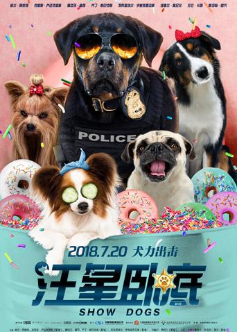 犬展卧底狗