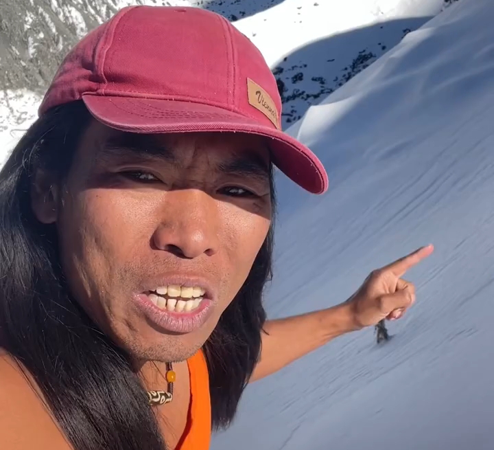 在海拔6千米雪山发现雪莲花，这生命力太强大了