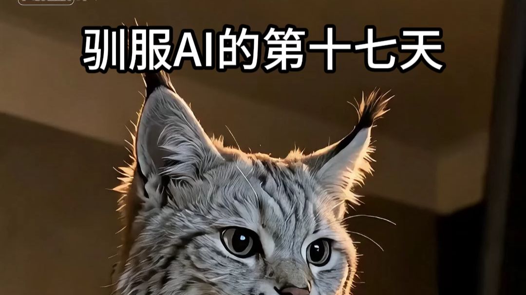 当我试图驯服AI做短剧第（17）集