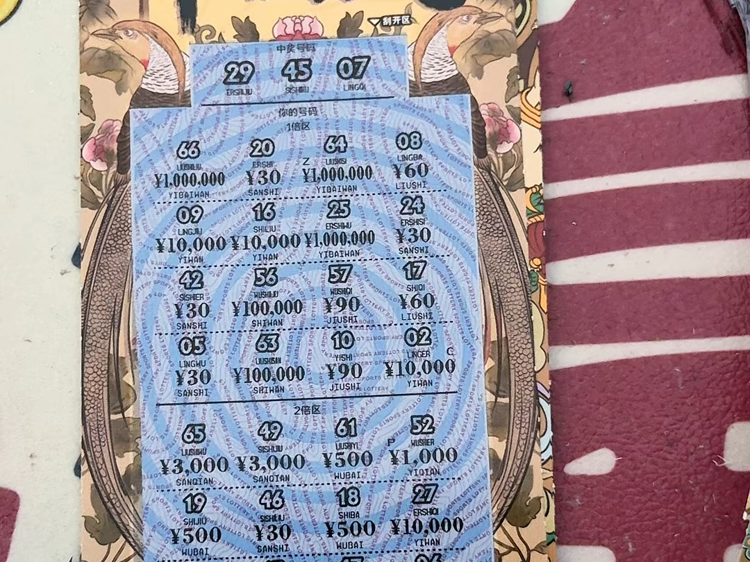 体彩新票来啦！！