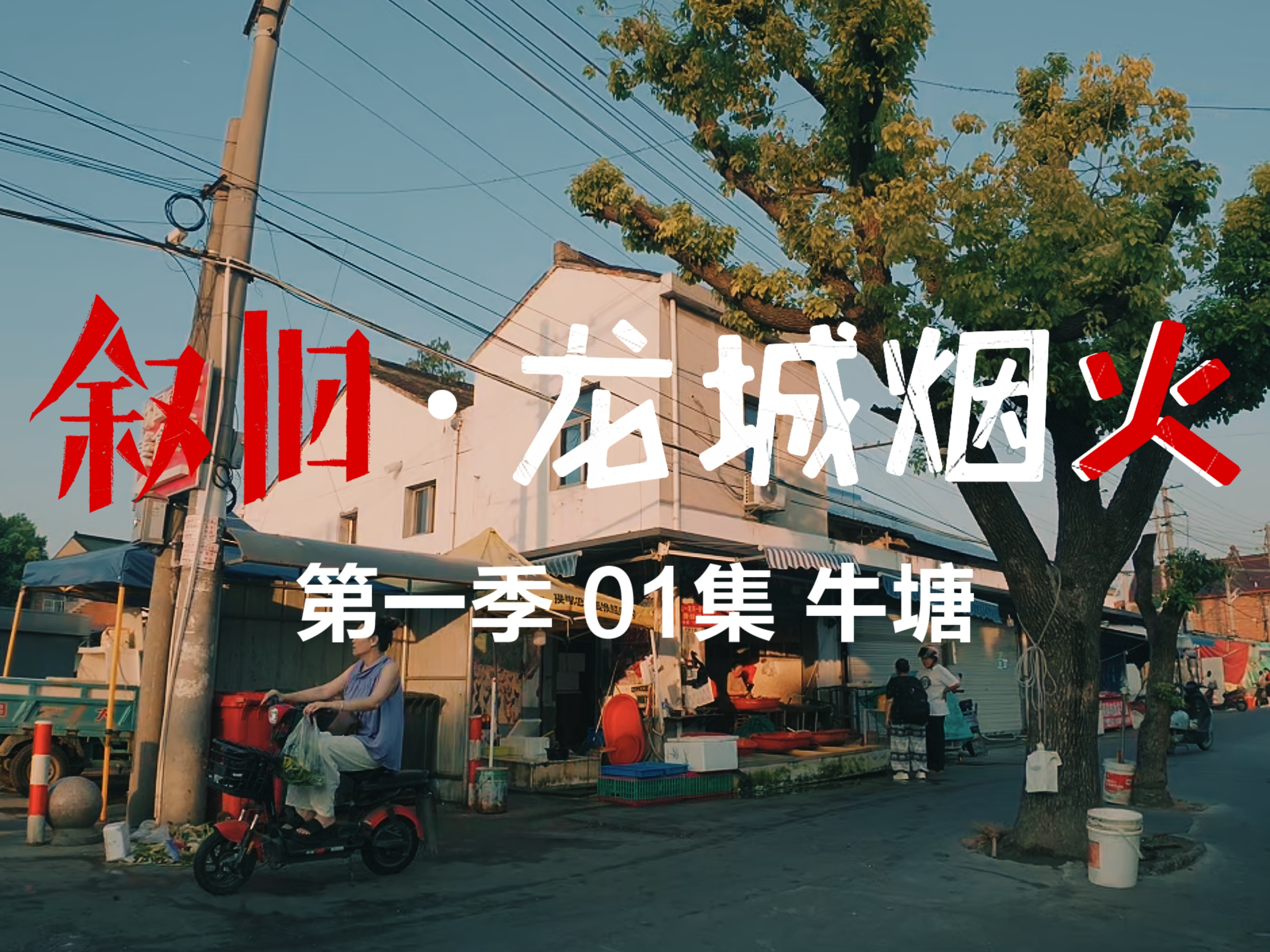 牛塘菜市场几十年的烟火市井