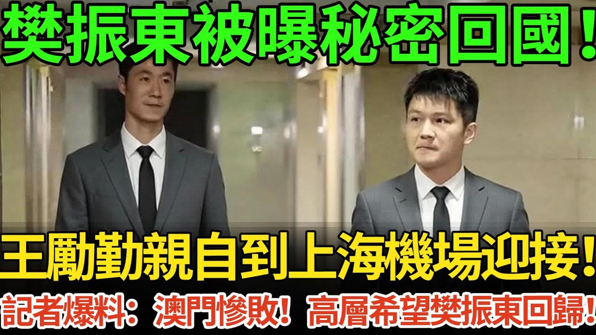 樊振东被曝秘密回国，王励勤亲自到上海机场迎接，记者爆料：澳门惨败，高层希望樊振东回归。