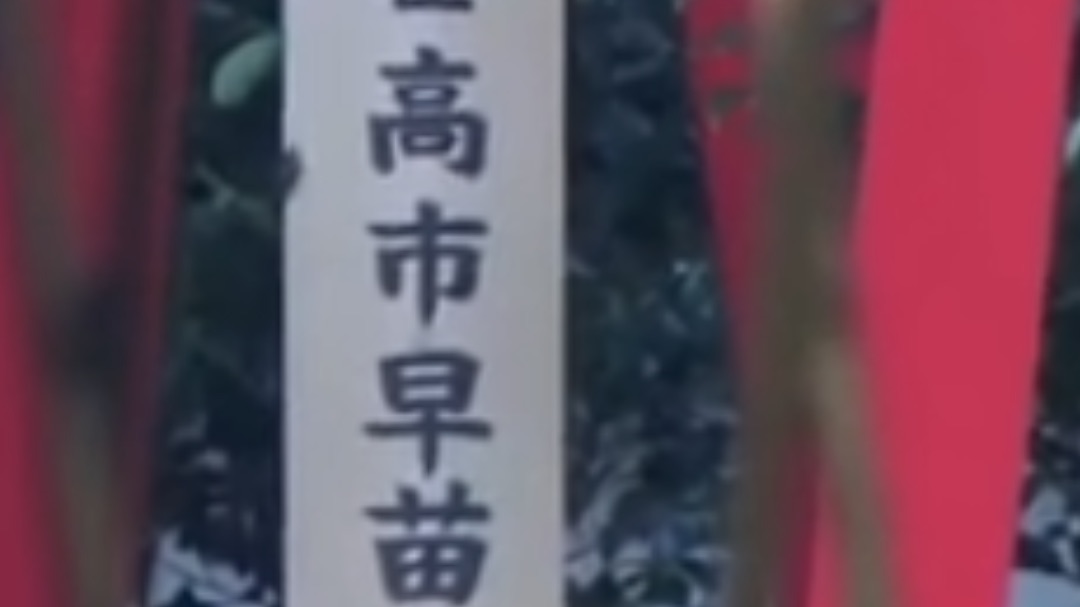 高市早苗向供奉二战甲级战犯的靖国神社献祭品