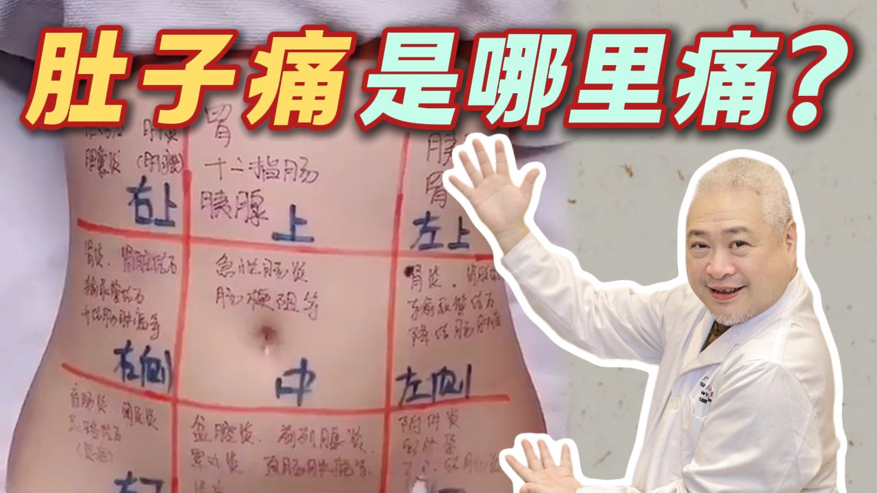 【科普】不同部位的肚子痛 ，一条视频教你正确区分！