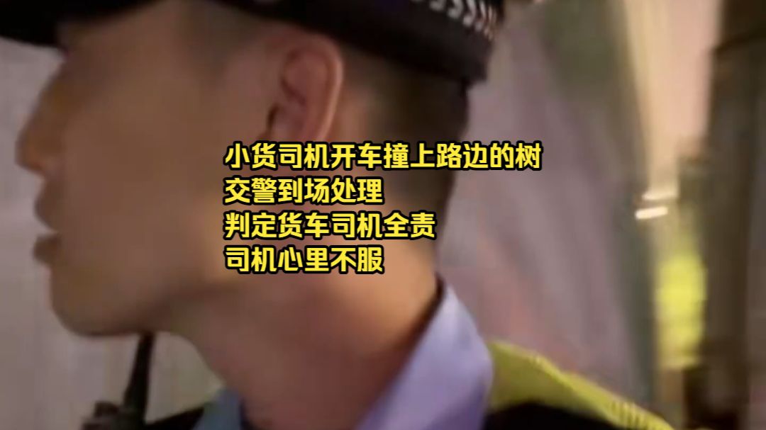 小货司机开车撞上路边的树，交警到场处理，判定货车司机全责。司机心里不服，辩解说是树撞了我，又不是我撞树，凭什么我全责