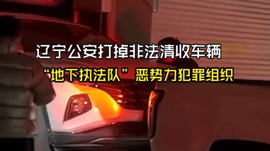辽宁阜新公安打掉非法清收车辆“地下执法队”恶势力犯罪组织。