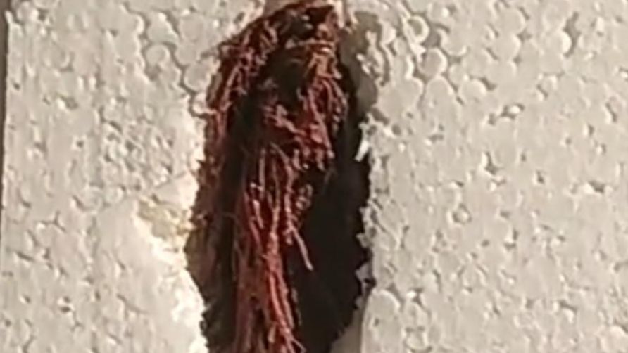 广东一男子嚼完槟榔后，随口吐在泡沫箱上，接触到地方竟硬生生被溶出一个深坑......