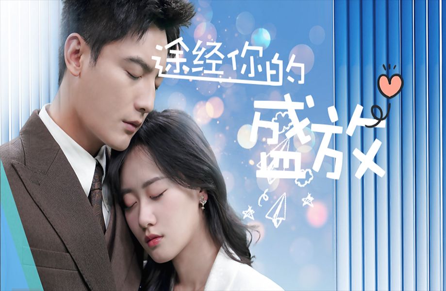 【途经你的盛放】全集 中
