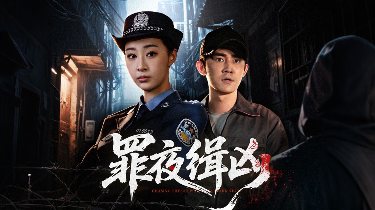 罪夜缉凶