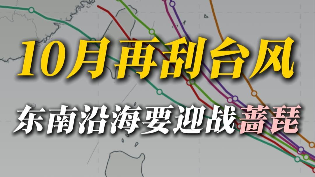 浙江福建台湾，"蔷琵"给你们刮大风了